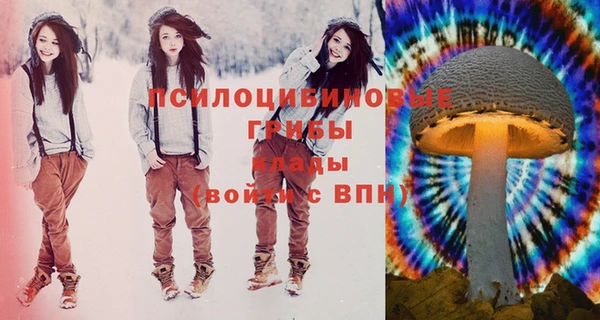 ECSTASY Волосово