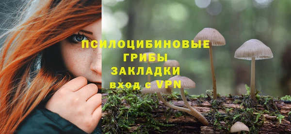 альфа пвп Володарск